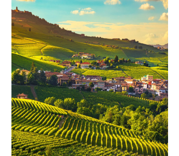Wijntour door Italië incl. diners, proeverijen & meer!