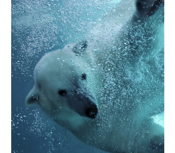 MEGA WILDLANDS SPECIAL! Verblijf in een 4*-hotel in Emmen incl. ontbijt en entree ticket voor WILDLANDS!