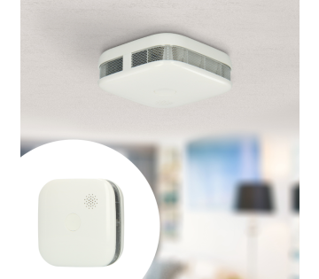 Set van 2 Alecto Rookmelders 10-jaars