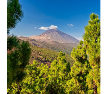 Luxe 8-daagse cruise vanaf Tenerife naar de Canarische Eilanden en Madeira incl. vlucht en volpension of all-inclusive