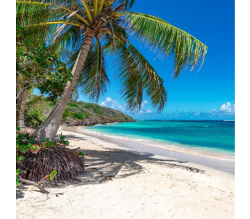 Volpension cruise langs Bahama's, Jamaica, Kaaimaneilanden en Mexico