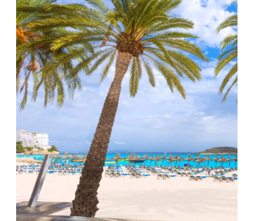 4*-hotel op Mallorca in Magaluf incl. ontbijt