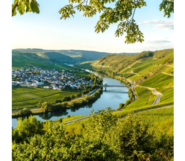 Verblijf aan de Moezel tussen Cochem & Koblenz incl. 3-gangendiner & meer!