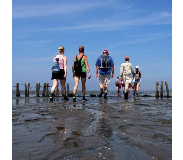 Uitwaaien bij de Waddenzee in het Groningse Pieterburen en overnacht op splinternieuwe LUXE Swiss Sense bedden