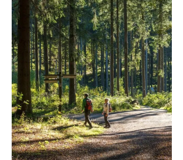 4-daagse vakantie naar Sauerland nabij Winterberg! Hotel met ZWEMBAD incl. ontbijt