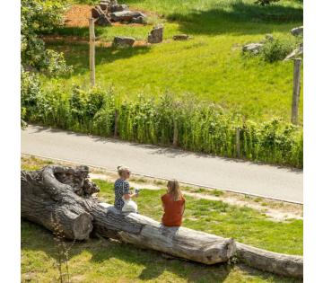3 dagen Zuid-Limburg incl. ontbijt diner & lunchpakket