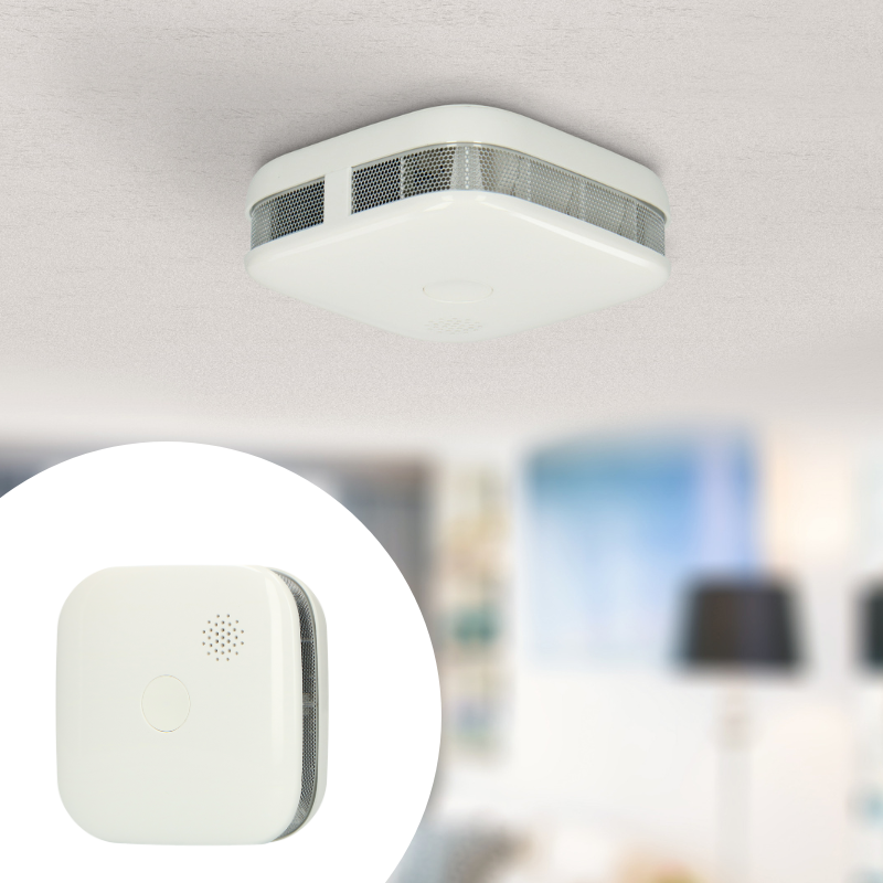 Set van 2 Alecto Rookmelders 10-jaars