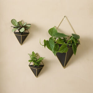 De Lifa Living Hangende Plantenbakken Rosalie hangen aan de muur.