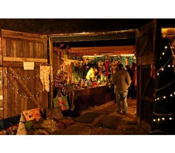 Gees in Wintersfeer in Gees