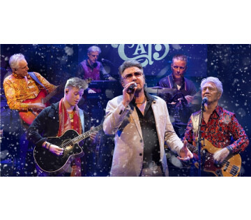 The Story of The Cats - Winter is here in Emmen