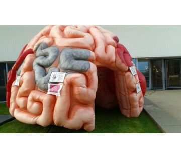 Week van de Mediawijsheid: Ontdek-je-droomberoep (6+) in Leeuwarden