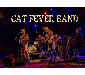 Cat Fever Band in Gieterveen