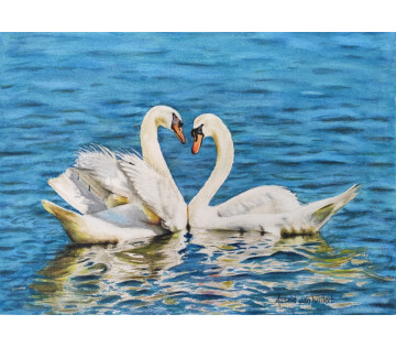 Op de eerste plaats in Paterswolde