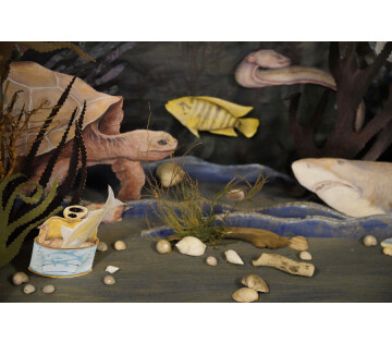 Fauna XXtraordinaire in Leeuwarden