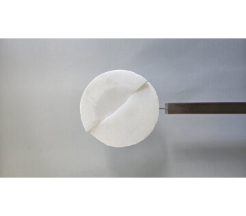 Cursisten van Staal en Steen en Anna Akke Fopma in Bolsward