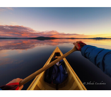 Jolanda Linschooten - Wild Scandinavië in Noordwoldefr