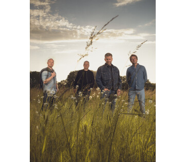 Racoon in Leeuwarden