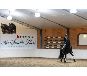 Meezing X-mas concert met Friese paarden in Hemrik