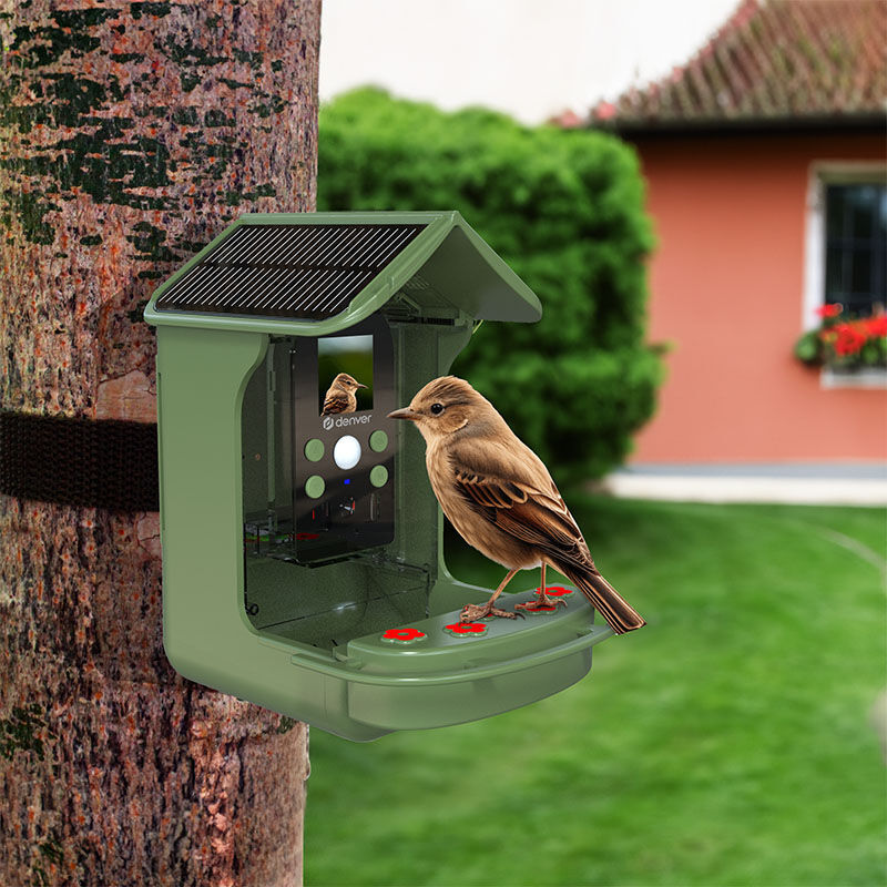 Het Denver Vogelvoederhuisje met Camera.