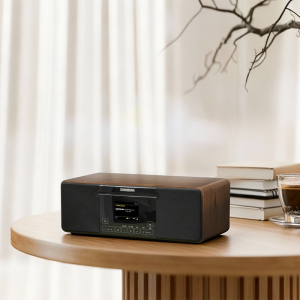 Sangean DDR-55BT Alles-in-&eacute;&eacute;n Muzieksysteem