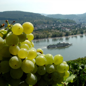 Verblijf all-inclusive aan de Rijn bij Boppard! 