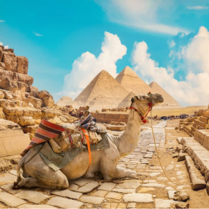 Alles-in-1-Deal: CA&Iuml;RO! Stedentrip incl. dagexcursie Piramides & Egyptisch Museum